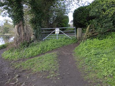 Picture 5